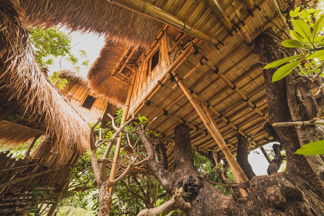 Eco Tree House Amed Hotel Bali Exterior photo