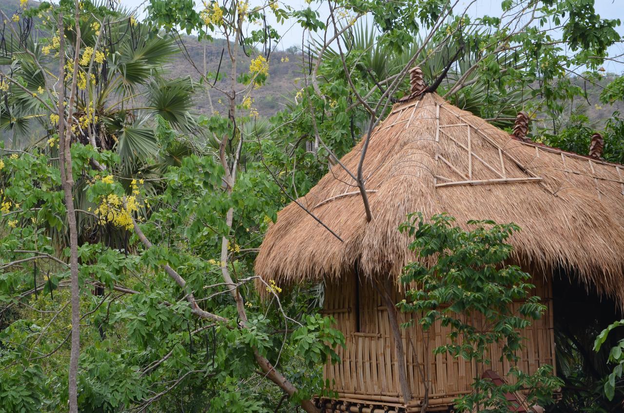 Eco Tree House Amed Hotel Bali Exterior photo